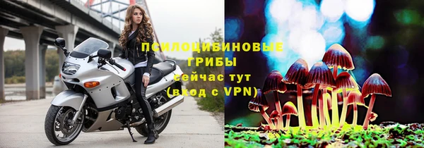 ALPHA PVP Алзамай