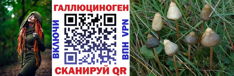 Псилоцибиновые грибы мухоморы ссылка на мегу рабочий сайт Обнинск