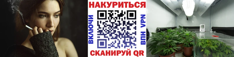 kraken вход  закладка  Обнинск  Бошки Шишки индика 